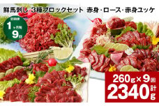 【1ヶ月毎9回定期便】鮮馬刺し 3種ブロックセット（赤身・ロース・赤身ユッケ）