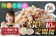 【定期便10ヶ月】阿蘇だわら 十六雑穀ごはん パックライス 160g×30パック 十六雑穀 雑穀 ごはん 米  香り 甘み  国産 定期便
