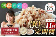 【定期便11ヶ月】阿蘇だわら 十六雑穀ごはん パックライス 160g×30パック 十六雑穀 雑穀 ごはん 米  香り 甘み  国産 定期便