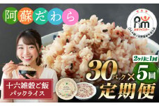 【定期便隔月5ヶ月】阿蘇だわら 十六雑穀ごはん パックライス 160g×30パック 十六雑穀 雑穀 ごはん 米  香り 甘み  国産 定期便