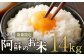 阿蘇のお米 14kg (5kg×2袋+4kg×1袋)
