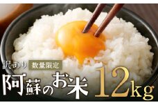 阿蘇のお米 12kg (6kg×2袋) 【14営業日発送】 精米 お米 米 おすすめ 人気 ランキング