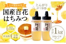 国産 百花はちみつ 合計1kg （500g×2本）【2025年2月発送】とんがりポリ容器 ハチミツ 熊本県産