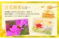 国産 百花はちみつ 合計1kg (500g×2本) とんがりポリ容器 ハチミツ 熊本県産