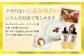 国産 百花はちみつ 合計1kg (500g×2本) とんがりポリ容器 ハチミツ 熊本県産