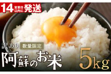 阿蘇のお米 5kg【14営業日発送】 精米 お米 米 おすすめ 人気 ランキング