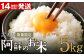 阿蘇のお米 5kg