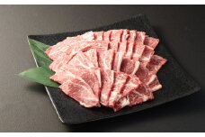 赤牛 焼肉用 カット （バラ・ロース） 500g 訳あり お肉 あか牛 牛肉  和牛 焼き肉 国産 九州産 熊本産