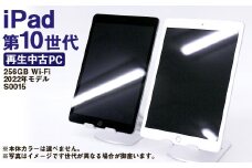 【ふるさと納税】 再生品 iPad 第10世代 256GB Wi-Fi （2022年モデル） S0015 電化製品 タブレット 本体 端末
