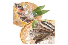 阿蘇から届く かわべの湧水やまめ 640g（内臓処理済8匹）と かわべのASOサーモン塩麴仕立て 480g（80g×6切）やまめ サーモン 熊本県 高森町