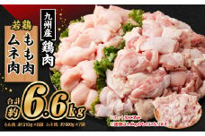 九州産若鶏 もも肉（約310g×8袋） 若鶏むね肉（約600g×7袋）合計約6.6kg セット 鶏肉 鶏もも肉 鶏むね肉 小分け 九州産 国産 冷凍