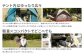 【MW-TAKAMORI OUTDOOR BRAND-】 ワンタッチテント（ブラックコーティング） サンドベージュ