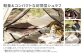 【MW-TAKAMORI OUTDOOR BRAND-】 封筒型寝袋 マットブラック