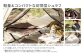 【MW-TAKAMORI OUTDOOR BRAND-】 封筒型寝袋 オリーブグリーン