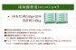 南阿蘇鉄道 トロッコショコラ 10本（約145g×10本）
