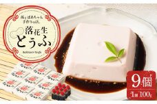 ＜地元ブランド＞ 国産 落花生とうふ 詰合せ 9個入り たれ付き 豆腐 とうふ ピーナッツ