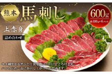 熊本 馬刺し 上赤身 詰め合わせ 約600g (約100g×6パック) 醤油付き 赤身 馬肉 馬刺 真空パック 小分け