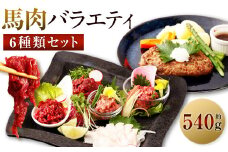  6種馬肉バラエティ 約540g (赤身切り落とし・コウネ・フタエゴダイス・線切り(ユッケ)・桜うまトロ・馬肉ハンバーグ) 