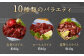 鮮馬刺しスライス&馬肉惣菜 10種セット 合計約1kg 馬肉 馬刺し 馬刺 熊本馬刺し 赤身 大トロ 霜降り ロース