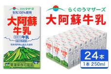 大阿蘇 牛乳 250ml 24本入 合計6L 紙パック ミルク 成分無調整 