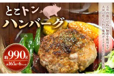 とこトンハンバーグ 165g×6パック 合計990g