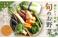生産者応援 採れたて新鮮 旬のお野菜 詰め合わせセット