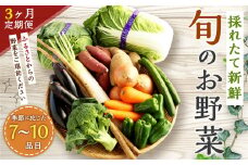【3ヶ月定期便】生産者応援 採れたて新鮮 旬のお野菜 詰め合わせセット
