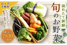 【6ヶ月定期便】生産者応援 採れたて新鮮 旬のお野菜 詰め合わせセット