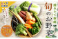 【6ヶ月定期便】生産者応援 採れたて新鮮 旬のお野菜 詰め合わせセット