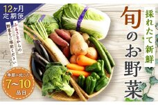 【12ヶ月定期便】生産者応援 採れたて新鮮 旬のお野菜 詰め合わせセット