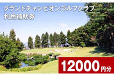 グランドチャンピオンゴルフクラブ 利用補助券 12000円分  1000円×12枚