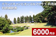 グランドチャンピオンゴルフクラブ 利用補助券 6000円分  1000円×6枚