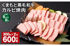 【5ヶ月毎2回定期便】 くまもと黒毛和牛 カルビ 焼肉 計600g（300g✕2回） 焼肉用 牛肉 肉 お肉 BBQ バーベキュー
