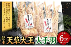 熊本 天草大王 大手羽 6本 （3本×2パック）鶏 鶏肉 地鶏 手羽 バーベキュー キャンプ