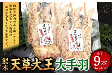 熊本 天草大王 大手羽 9本 （3本×3パック）鶏 鶏肉 地鶏 手羽 バーベキュー キャンプ
