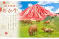 くまもとあか牛 切り落とし 800g （400g×2パック）肉 牛肉 和牛 ブランド牛 あか牛 切落し