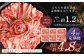 【 4回 定期便 】くまもと あか牛 切り落とし 1.2kg