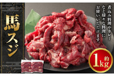 馬スジ1kg 500g×2パック 合計1kg 馬スジ 馬すじ 馬肉 馬 肉 すじ肉 煮込み 熊本 冷凍