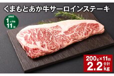 【1ヶ月毎11回定期便】くまもとあか牛 サーロインステーキ 200g 計2.2kg 牛肉 お肉 肉