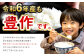 【2個口】 阿蘇だわら （玄米） 20kg （2kg×10袋）
