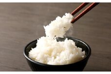 ＜14営業日発送＞【令和6年産】 くまもと の ブランド米 くまさんの輝き 10kg 5kg×2袋 精米 コメ 米 お米 ごはん 白米 熊本県産