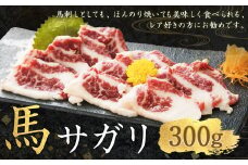 馬サガリ 約300g 馬刺し 馬刺 お肉 肉 馬肉 カルビ ブロック