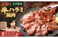 厚切り牛ハラミ焼肉（ネギ塩味） 500g
