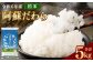 阿蘇だわら 精米 5kg
