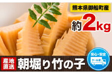 朝掘り竹の子 熊本県御船町産限定 約2kg(1本約500g-1200g前後) 《4月上旬-4月末頃出荷》期間限定 野菜 たけのこご飯 煮物 先行予約 熊本県御船町