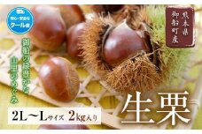 生栗 熊本県御船町産限定 約2kg(2L-Lサイズ)《9月上旬-9月下旬頃出荷》送料無料 期間限定 野菜 予約 スイーツ きんとん 甘露煮 渋皮煮 栗ご飯 熊本県御船町