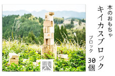 熊本県 御船町 キイカスブロック 30個 木のおもちゃ 森のバランスゲーム 《30日以内に出荷予定(土日祝除く)》 KEYCUSプロジェクト事務局 國武林業