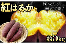 紅はるか 約5kg《30日以内に出荷予定(土日祝除く)》熊本県 御船町 秋 旬 野菜 有限会社ニシムラ