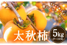 太秋柿 5kg《30日以内に出荷予定(土日祝除く)》熊本県 御船町 秋 旬 フルーツ 果物 有限会社ニシムラ st-p