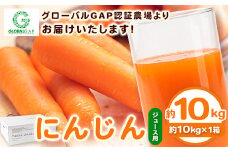 熊本県 御船町 にんじん ジュース用 約10kg 有限会社ニシムラ《30日以内に出荷予定(土日祝除く)》人参 ニンジン